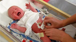 Mikro-Herzschrittmacher in Grösse eines Reiskorns