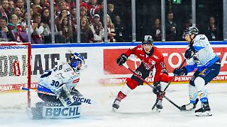 Ingolstadt verzweifelt: Kölner Haie fehlt nur ein Sieg zum Finale