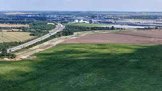 Auf Intel-Grundstück in Magdeburg werden jetzt Mais und Sonnenblumen gesät