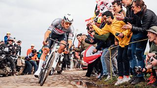 Flaschenwerfer stellt sich nach Attacke auf Radprofi