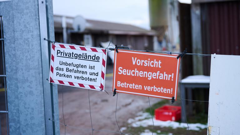 MKS-Sperrzone in Brandenburg aufgehoben