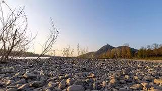 Dürre im Frühjahr: Waldbrandgefahr steigt in vielen Regionen