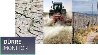 So trocken ist der Boden aktuell