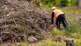 Gemeinnützige Arbeit statt Freiheitsstrafe – Warum das oft nicht klappt