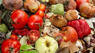 Warum schlecht sortierter Biomüll für Mieter teuer werden kann