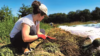 Landwirtschaft ohne Preisdruck: Gemüsepioniere starten zweite Saison in alter Gärtnerei