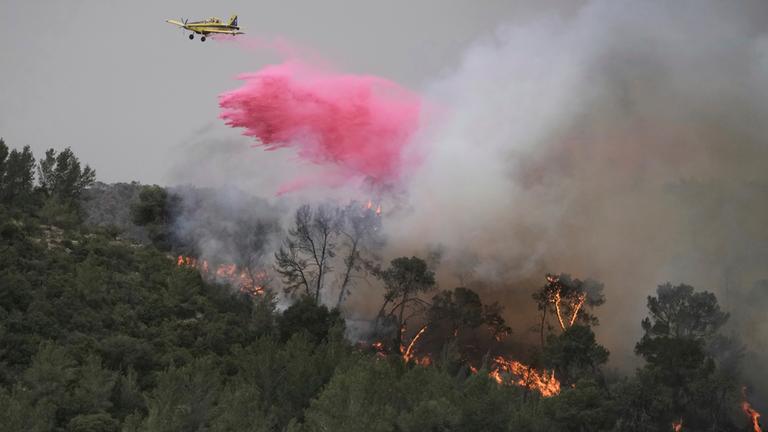 Schwere Waldbrände wüten bei Jerusalem