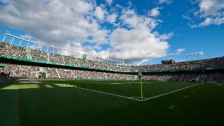 Spanischer Klub verbietet Konsum von Sonnenblumenkernen