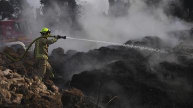 Waldbrände bei Jerusalem unter Kontrolle