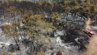 Schwere Brände bei Jerusalem unter Kontrolle