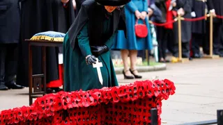 Roter Mohn ist das Symbol der britischen Gedenkkultur