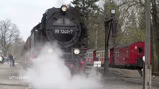 Schmalspurbahnen: Zwischen Besucherrekorden und roten Zahlen