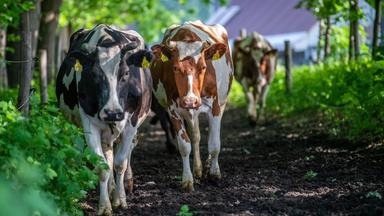 EU-Kommission will Landwirte entlasten
