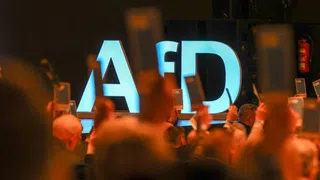 Demokratie-Forscher zu AfD: «Für mich ist die rote Linie: Gewalt»
