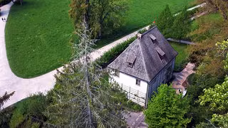 Klimawandel: Wie historische Parks mit Schäden umgehen