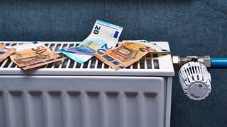 Persönlicher CO2-Preis-Rechner zeigt, wie hoch meine eigenen Klimakosten sind