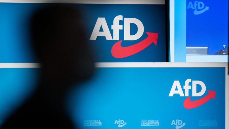 Mehr als 220 AfD-Kandidaten im Staatsdienst