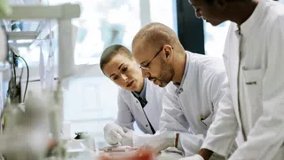 US-Budgetkürzungen verunsichern Schweizer Forschende