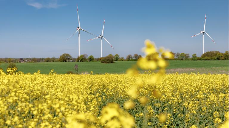EU sieht sich auf gutem Weg zum Klimaziel 2030