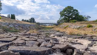 Wie sich Mitteldeutschland auf einen heißen Sommer vorbereitet