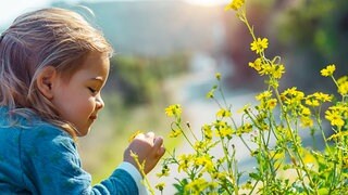 Mythos von umweltbesorgten Eltern wird durch Studie widerlegt