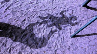 Fast sechs Millionen Menschen haben als Minderjährige sexuelle Gewalt erlebt