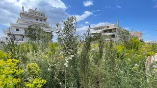 Athen fehlt es an Grünflächen – nun pflügt die Stadt um
