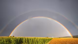 Regen nach Dürre: Nur Tropfen auf das heiße Feld?