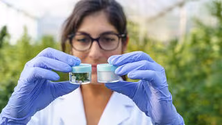 Viele Senioren nutzen Cannabis als Schmerzmedizin – ohne ärztliche Begleitung