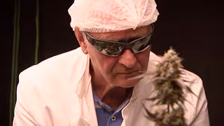 Viele Senioren nutzen Cannabis als Schmerzmedizin – ohne ärztliche Begleitung