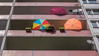 Hitze-Check: Heißes Magdeburg, mittlere Belastung in vielen mitteldeutschen Städten