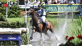 Pferd wird nach Drama bei Deutscher Meisterschaft eingeschläfert