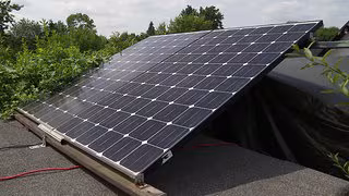 Solaranlage auf der Laube: Kleingärtnern droht vielerorts in Sachsen der Rauswurf