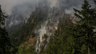 Trump blockiert Klimadebatte: G7 konzentriert sich auf Waldbrände