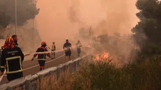 Wald brennt an Kroatiens Adria an mehreren Orten