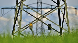 Kemfert kritisiert Stromsteuerpolitik: Industrie profitiert, Haushalte zahlen