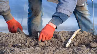 Bauernverband will Saisonkräfte unter Mindestlohn bezahlen