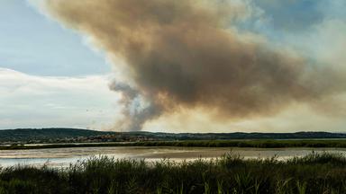 Waldbrände und Rekordhitze in Südeuropa