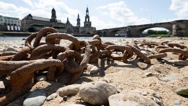 Viel zu warm und viel zu trocken