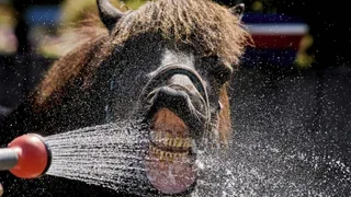 Glutofen Europa: Selbst das Mittelmeer liegt 3 Grad über Normwert