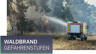So wird die Waldbrandgefahr bewertet