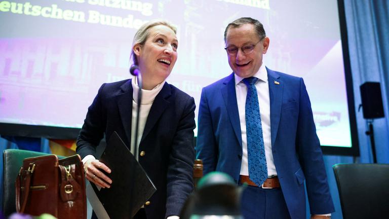 Hohe Zulagen für Weidel und Chrupalla