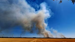 Waldbrand in Gohrischheide: Feuer breitet sich nach Brandenburg aus