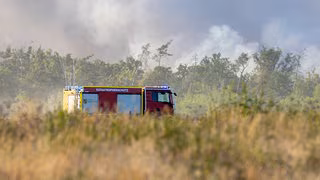Boden mit Munition belastet: Detonationen bei Waldbrand in Gohrischheide
