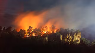Feuerwehr wieder bei Waldbrand im Landkreis Harz im Einsatz