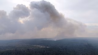 Satellitendaten zeigen Ausmaß der Waldbrände in Sachsen und Thüringen