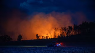 Waldbrand bei Gösselsdorf über Nacht ausgeweitet - 300 Hektar betroffen