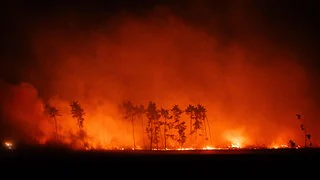 Ticker zum Waldbrand in Gohrischheide: Mehr als 400 Einsatzkräfte gegen die Flammen