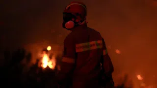Waldbrand auf Kreta – Einwohner und Touristen müssen fliehen
