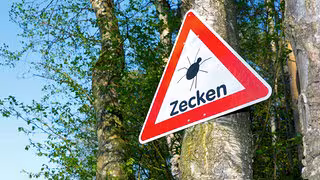 Borreliose auf dem Vormarsch – vor allem in Sachsen-Anhalt